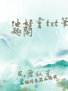 他好会txt笔趣阁