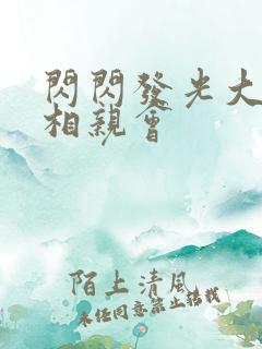 闪闪发光大团圆相亲会