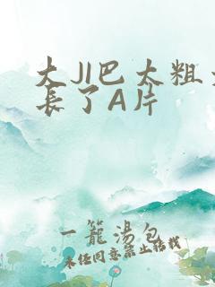 大JI巴太粗太长了A片