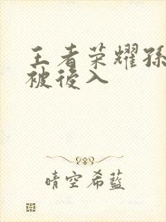 王者荣耀孙尚香被后入