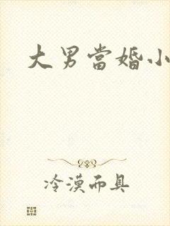 大男当婚小说