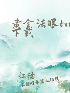 黄金法眼txt下载