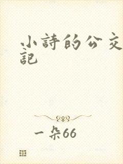 小诗的公交车日记