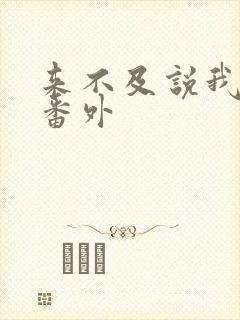 来不及说我爱你番外