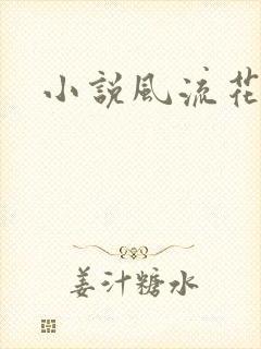 小说风流花少
