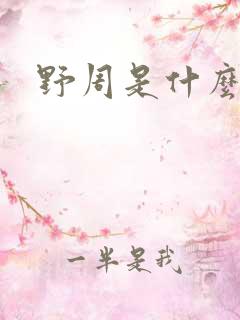 野周是什么意思