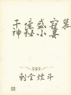 千亿盛宠慕少的神秘小妻