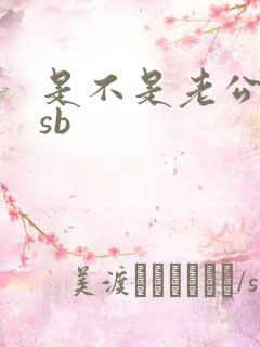 是不是老公的小sb