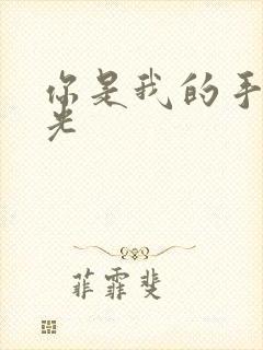 你是我的手冢国光