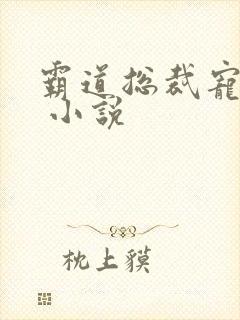 霸道总裁宠上天 小说