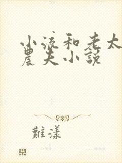 小流和老太69农夫小说