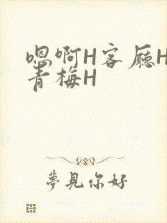 嗯啊H客厅HH青梅H