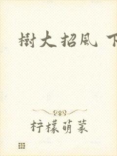 树大招风 下载