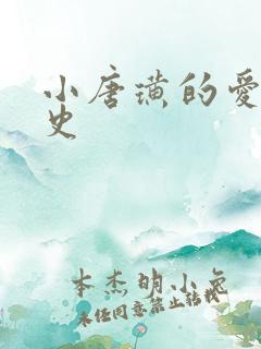 小唐璜的爱情历史