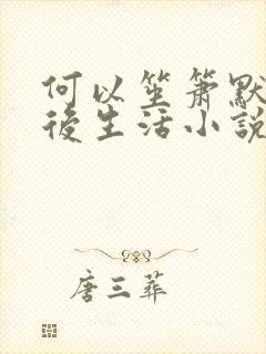 何以笙箫默之婚后生活小说