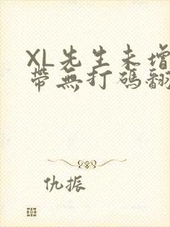 XL先生未增删带无打码翻译