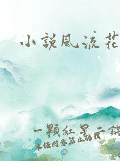 小说风流花少