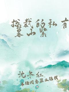 总裁的私有宝贝 暮山紫