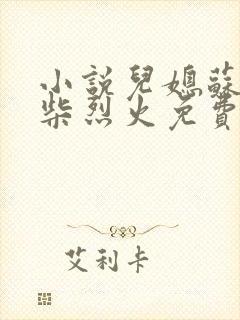 小说儿媳苏玥干柴烈火免费阅读