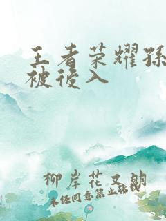 王者荣耀孙尚香被后入