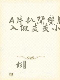 A片扒开双腿进入做爽爽小说