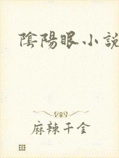 阴阳眼小说