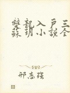 双龙入户三人行苏玥小说全文阅读