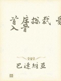 首席总裁 爱你入骨