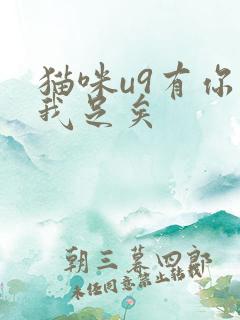 猫咪u9有你有我足矣