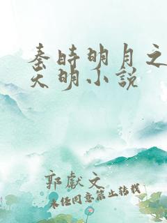 秦时明月之夜尽天明小说
