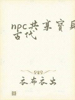 npc共享宝贝古代