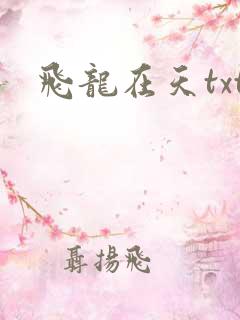 飞龙在天txt