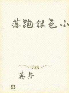 落跑银色小行星