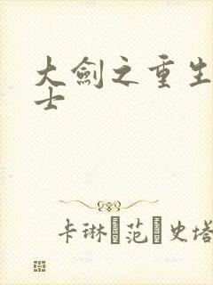 大剑之重生圣骑士