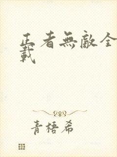 正者无敌全集下载