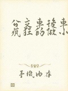 公交车后车座的疯狂的做小