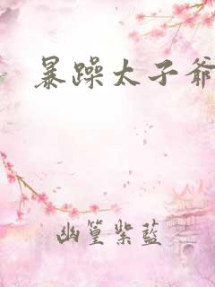 暴躁太子爷