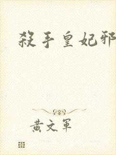 杀手皇妃邪魅帝