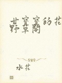 甘宝宝的花苞澜野草阁