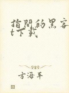 指间的黑客txt下载