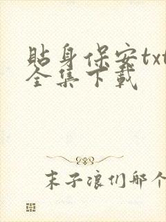 贴身保安txt全集下载