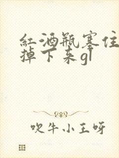 红酒瓶塞住不准掉下来gl