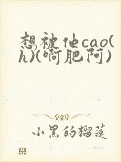 想被他cao(h)(啊肥阿)