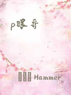 p眼哥