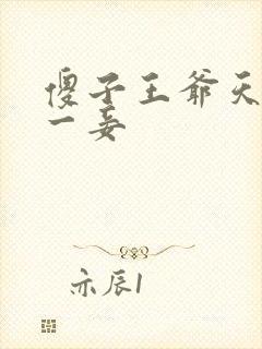 傻子王爷天下第一妾