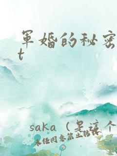 军婚的秘密txt