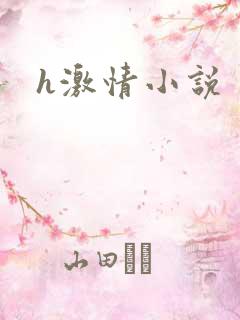 h激情小说
