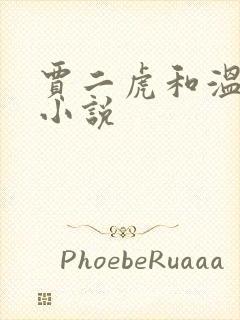 贾二虎和温如意小说