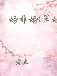 婚非婚(军婚)