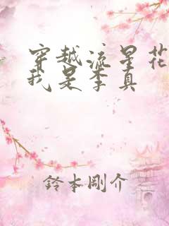 穿越流星花园之我是李真